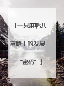 一只麻鸭共富路上的发展“密码”