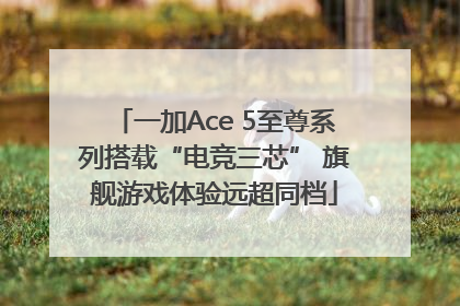 一加Ace 5至尊系列搭载“电竞三芯” 旗舰游戏体验远超同档