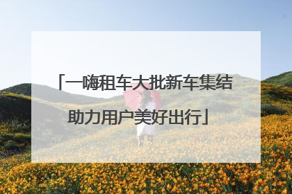 一嗨租车大批新车集结 助力用户美好出行