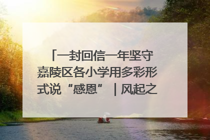 一封回信一年坚守 嘉陵区各小学用多彩形式说“感恩”｜风起之江 扶摇直上