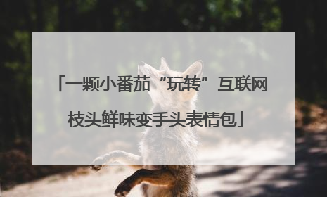 一颗小番茄“玩转”互联网 枝头鲜味变手头表情包