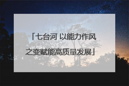 七台河 以能力作风之变赋能高质量发展