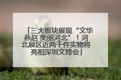 三大板块展现“文华燕赵 美丽河北”！河北展区近两千件实物将亮相深圳文博会