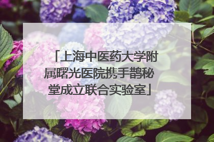 上海中医药大学附属曙光医院携手鹊秘堂成立联合实验室
