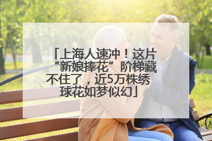 上海人速冲！这片“新娘捧花”阶梯藏不住了，近5万株绣球花如梦似幻