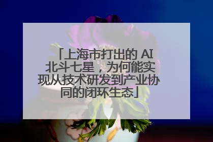 上海市打出的 AI 北斗七星，为何能实现从技术研发到产业协同的闭环生态