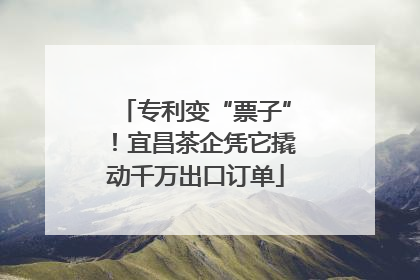 专利变“票子”！宜昌茶企凭它撬动千万出口订单