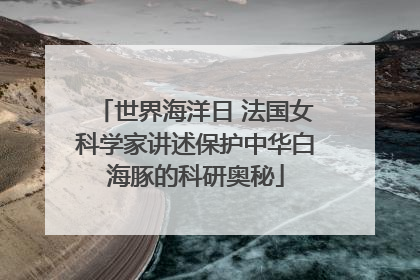 世界海洋日 法国女科学家讲述保护中华白海豚的科研奥秘
