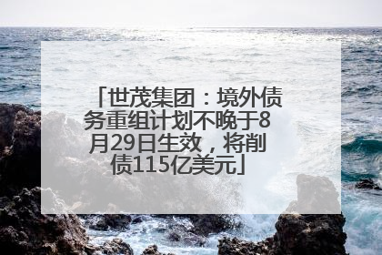 世茂集团：境外债务重组计划不晚于8月29日生效，将削债115亿美元