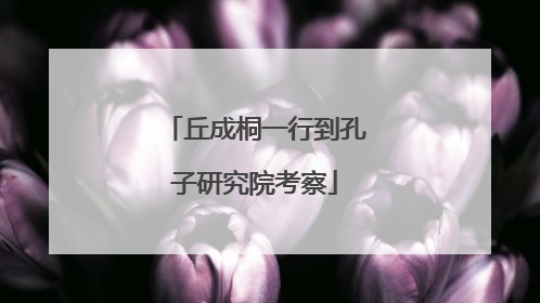 丘成桐一行到孔子研究院考察