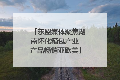 东盟媒体聚焦湖南怀化箱包产业 产品畅销亚欧美