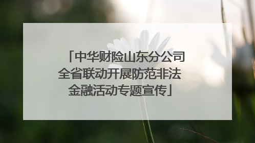 中华财险山东分公司全省联动开展防范非法金融活动专题宣传