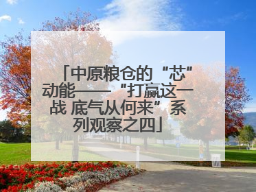 中原粮仓的“芯”动能——“打赢这一战 底气从何来”系列观察之四
