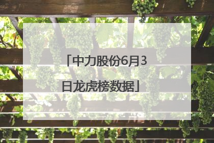 中力股份6月3日龙虎榜数据