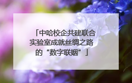 中哈校企共建联合实验室成就丝绸之路的“数字联姻”