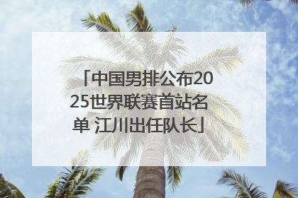 中国男排公布2025世界联赛首站名单 江川出任队长