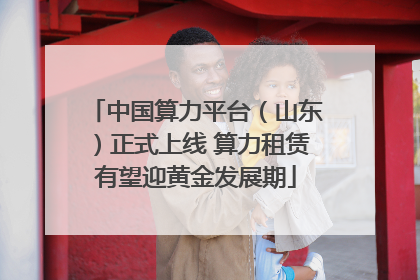 中国算力平台（山东）正式上线 算力租赁有望迎黄金发展期