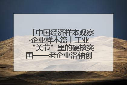 中国经济样本观察·企业样本篇丨工业“关节”里的硬核突围——老企业洛轴创新蝶变启示录