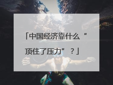 中国经济靠什么“顶住了压力”？