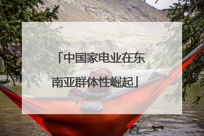 中国家电业在东南亚群体性崛起