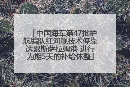 中国海军第47批护航编队红河舰技术停靠达累斯萨拉姆港 进行为期5天的补给休整
