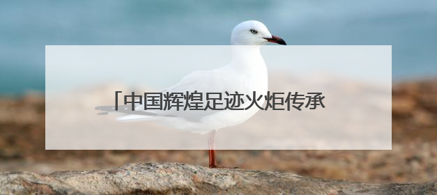 中国辉煌足迹火炬传承跑在闽宁镇激情开跑
