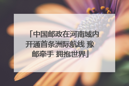 中国邮政在河南域内开通首条洲际航线 豫邮牵手 拥抱世界