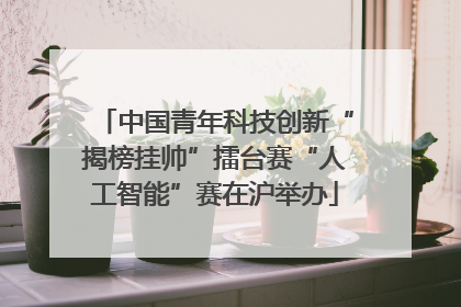中国青年科技创新“揭榜挂帅”擂台赛“人工智能”赛在沪举办