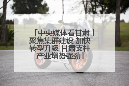 中央媒体看甘肃丨聚焦集群建设 加快转型升级 甘肃支柱产业增势强劲