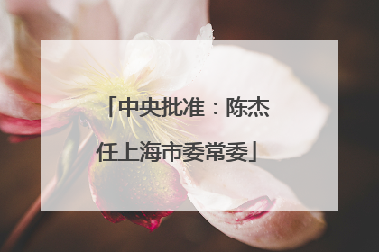 中央批准：陈杰任上海市委常委