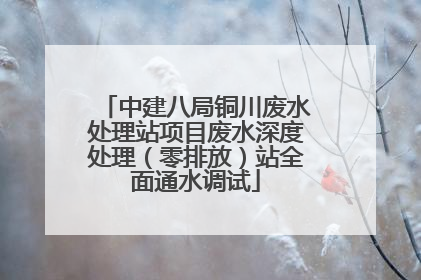 中建八局铜川废水处理站项目废水深度处理（零排放）站全面通水调试