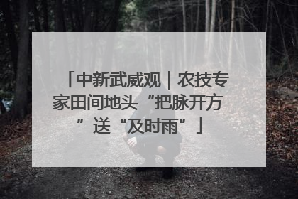 中新武威观｜农技专家田间地头“把脉开方”送“及时雨”