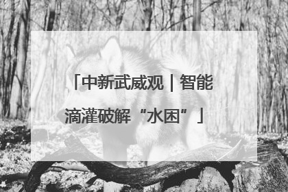 中新武威观｜智能滴灌破解“水困”