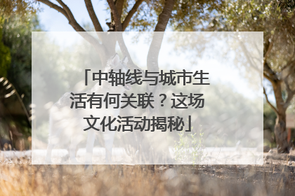 中轴线与城市生活有何关联？这场文化活动揭秘