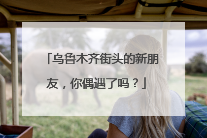 乌鲁木齐街头的新朋友，你偶遇了吗？