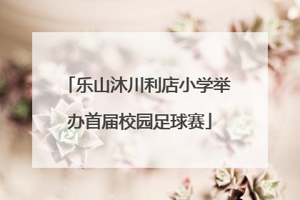 乐山沐川利店小学举办首届校园足球赛