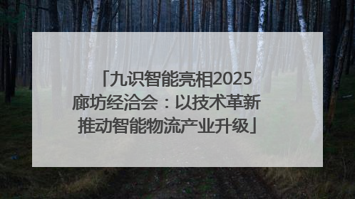 九识智能亮相2025廊坊经洽会：以技术革新推动智能物流产业升级