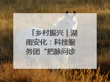 乡村振兴｜湖南安化：科技服务团“把脉问诊”水果产业