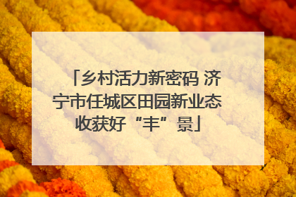 乡村活力新密码 济宁市任城区田园新业态收获好“丰”景