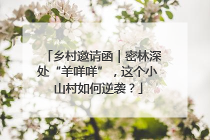 乡村邀请函｜密林深处“羊咩咩”，这个小山村如何逆袭？