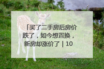 买了二手房后房价跌了，如今想置换，新房却涨价了｜100个买房故事