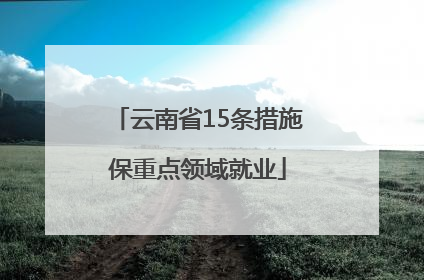 云南省15条措施保重点领域就业