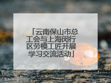 云南保山市总工会与上海闵行区劳模工匠开展学习交流活动