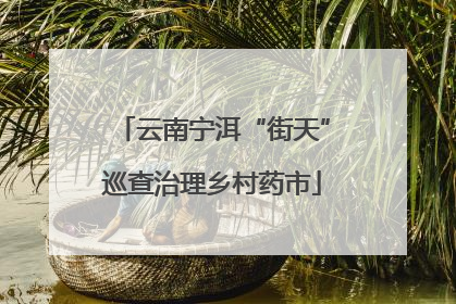 云南宁洱“街天”巡查治理乡村药市