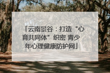 云南景谷：打造“心育共同体”织密 青少年心理健康防护网
