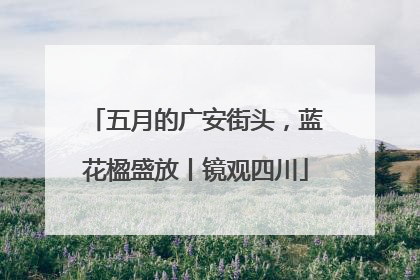 五月的广安街头，蓝花楹盛放丨镜观四川