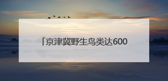 京津冀野生鸟类达600余种，占全国总数四成
