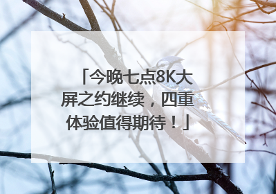 今晚七点8K大屏之约继续，四重体验值得期待！