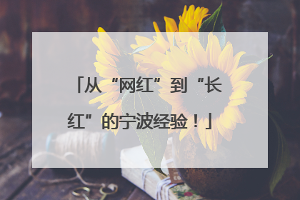 从“网红”到“长红”的宁波经验！