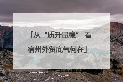 从“质升量稳” 看宿州外贸底气何在